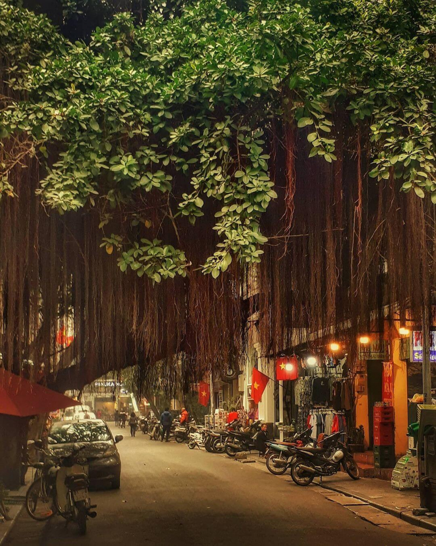 Di sản Hà Nội - Phố Cổ