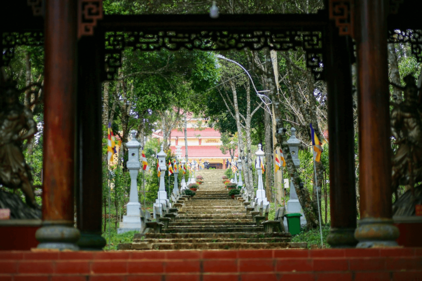 măng đen