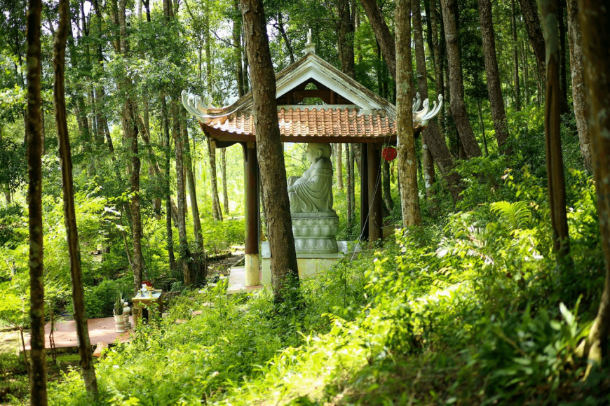 măng đen