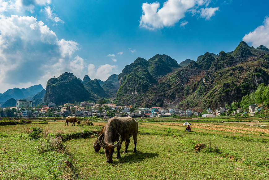 ទីក្រុង Dong Van ផ្លូវ Ha Giang