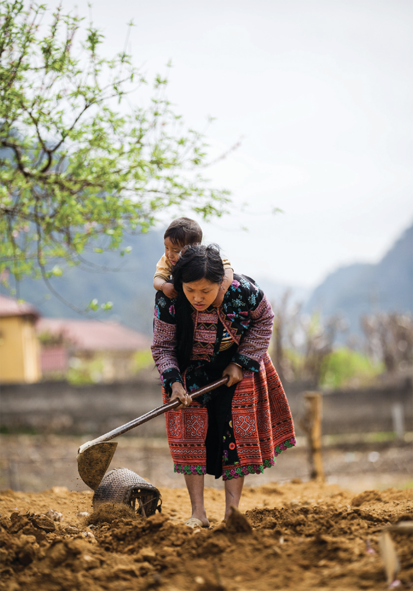 nhóm dân tộc h'mông việt nam