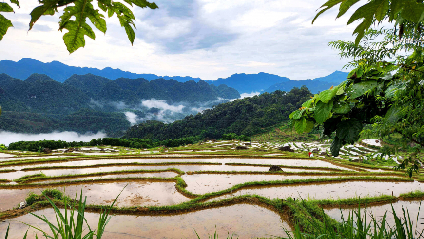 pù luông