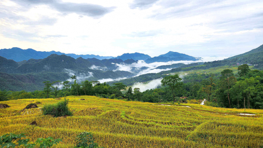 pù luông