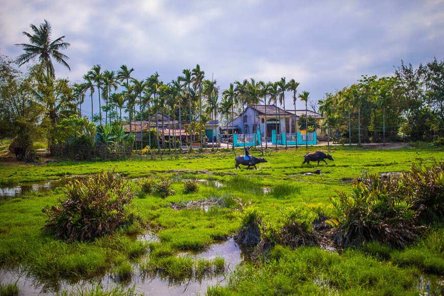 Geşta Hoi An