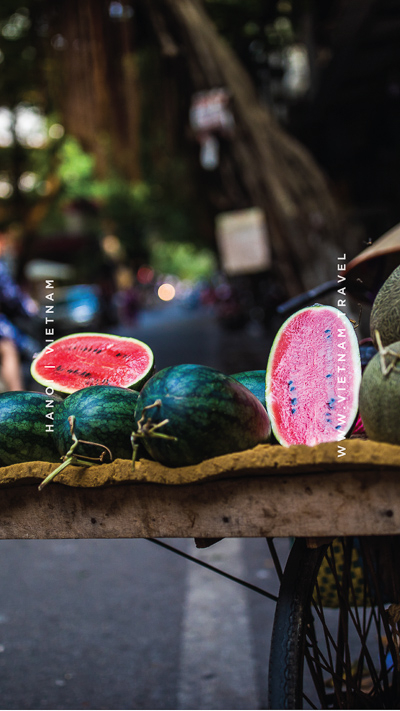 ផ្ទាំងរូបភាពទូរស័ព្ទទេសចរណ៍វៀតណាម