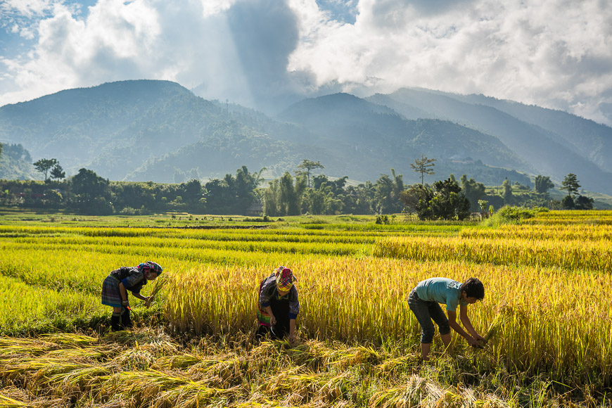 phương tiện di chuyển đến mù cang chải