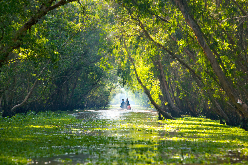 sông cửu long việt nam