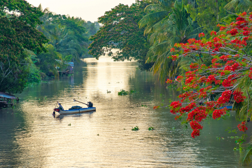 sông cửu long việt nam