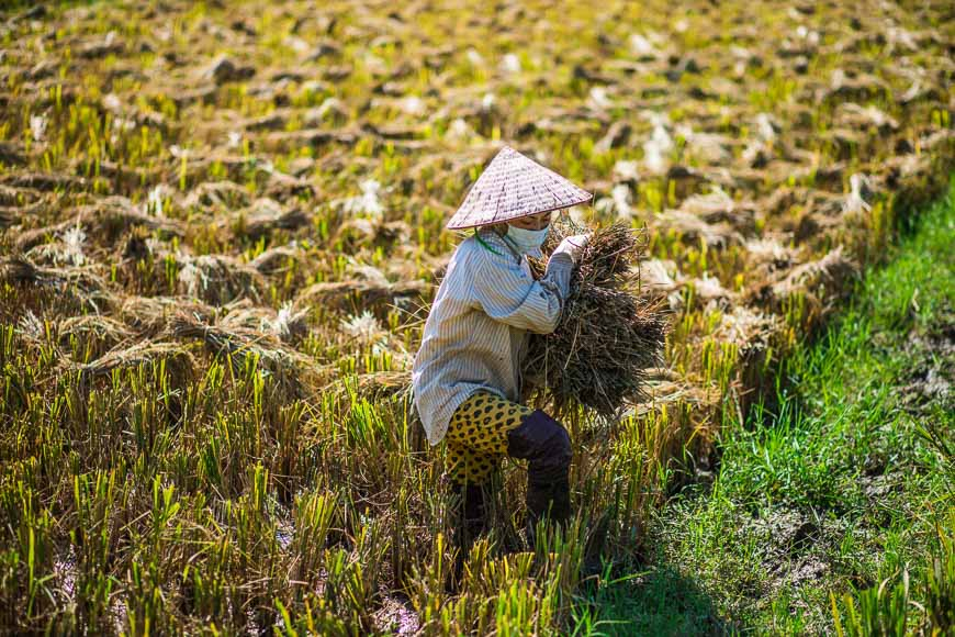 du lịch có trách nhiệm ở Việt Nam