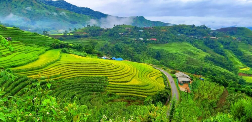 ruộng bậc thang ở Lai Châu