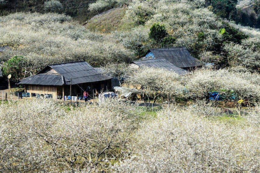 Bản Ngọc Chiến ở Sơn La