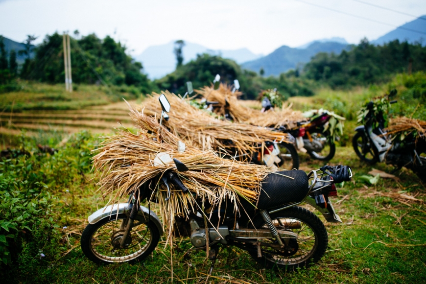ការធ្វើដំណើរដោយម៉ូតូនៅវៀតណាម