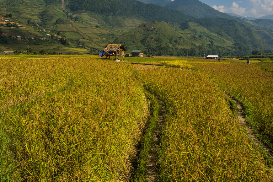 đi bộ đường dài mù cang chải 