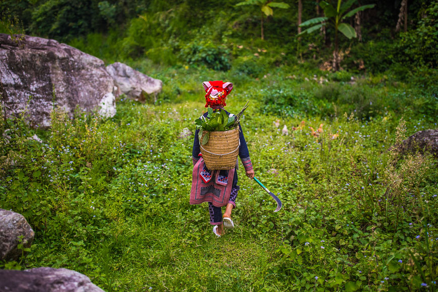 tắm lá thuốc sapa