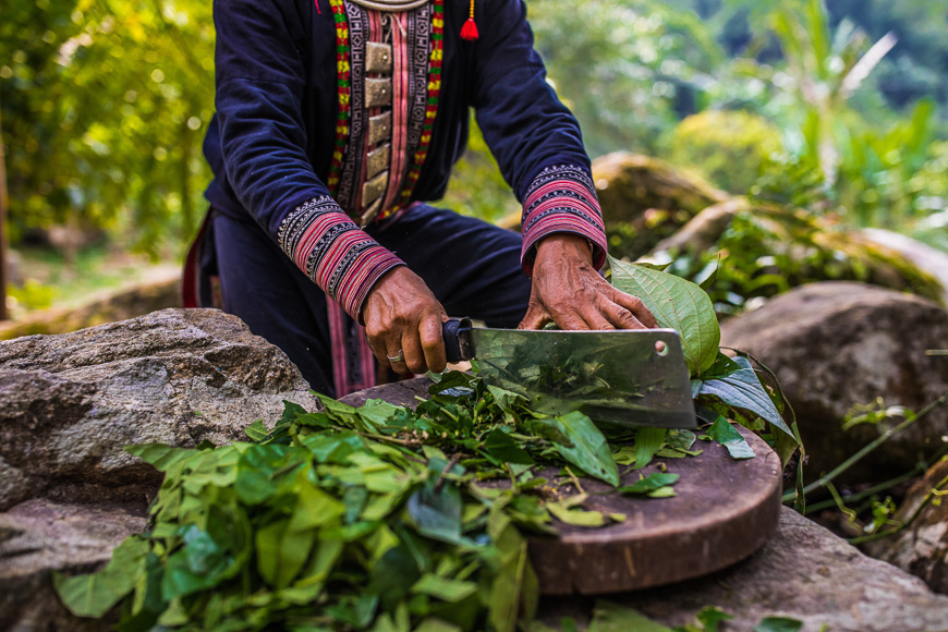 tắm thuốc Dao Đỏ
